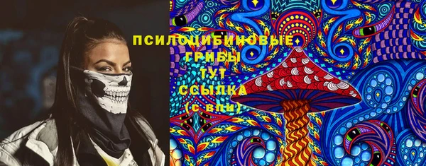 spice Ладушкин