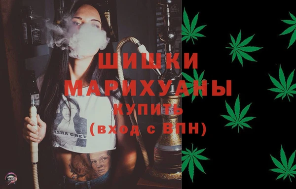 твердый Лагань